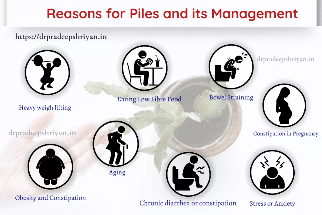 Reasons for Piles and Preventive measures in India